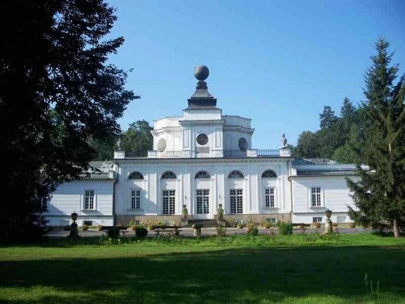 Отели типа «постель и завтрак» Hotel butikowy Pałac Jabłonna Яблонна-4